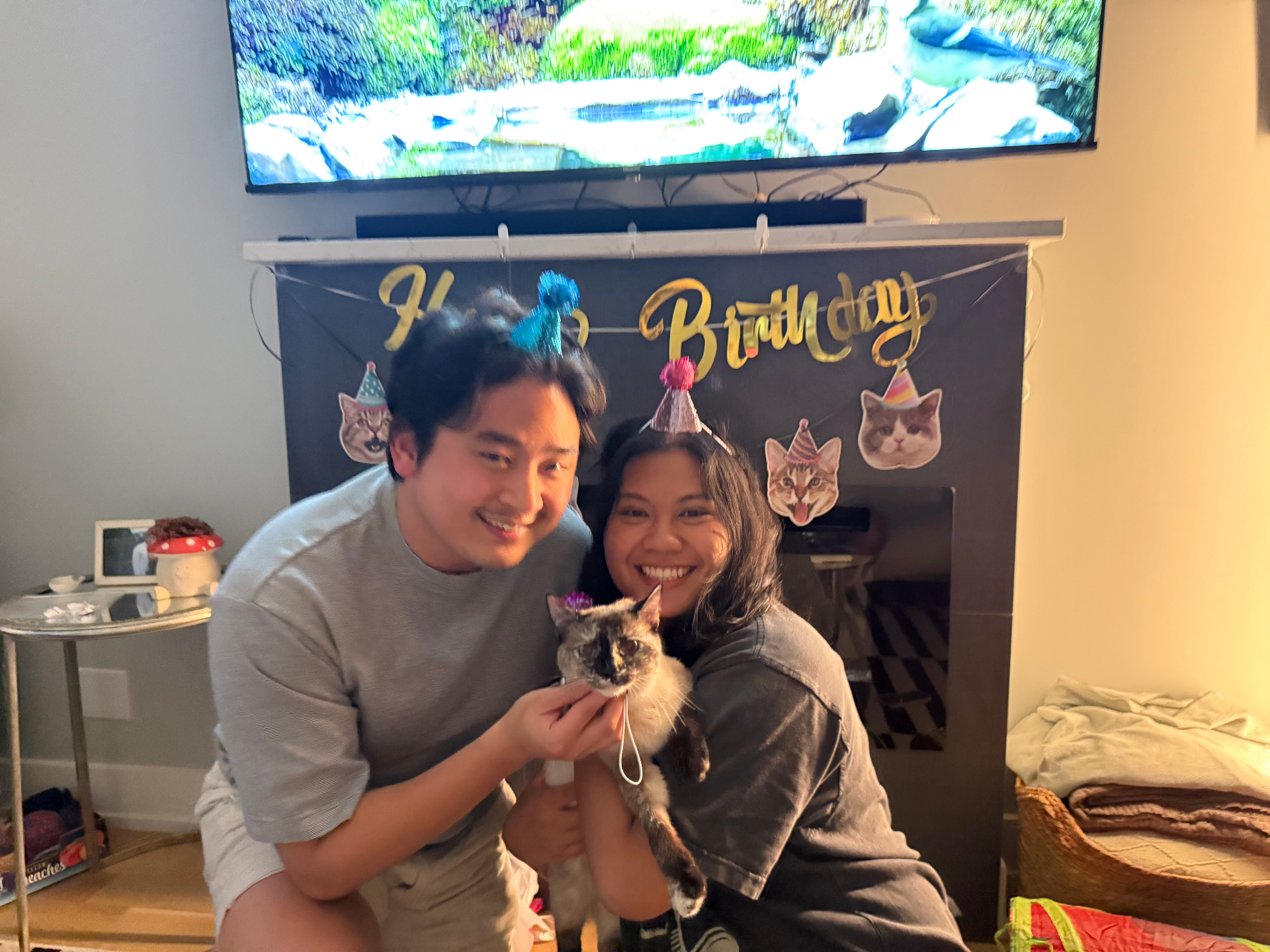 Celebrating our furbaby Lulu's birthday