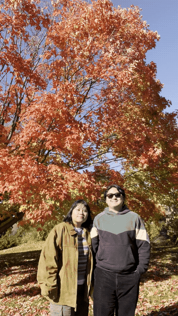 Frolic in the fall